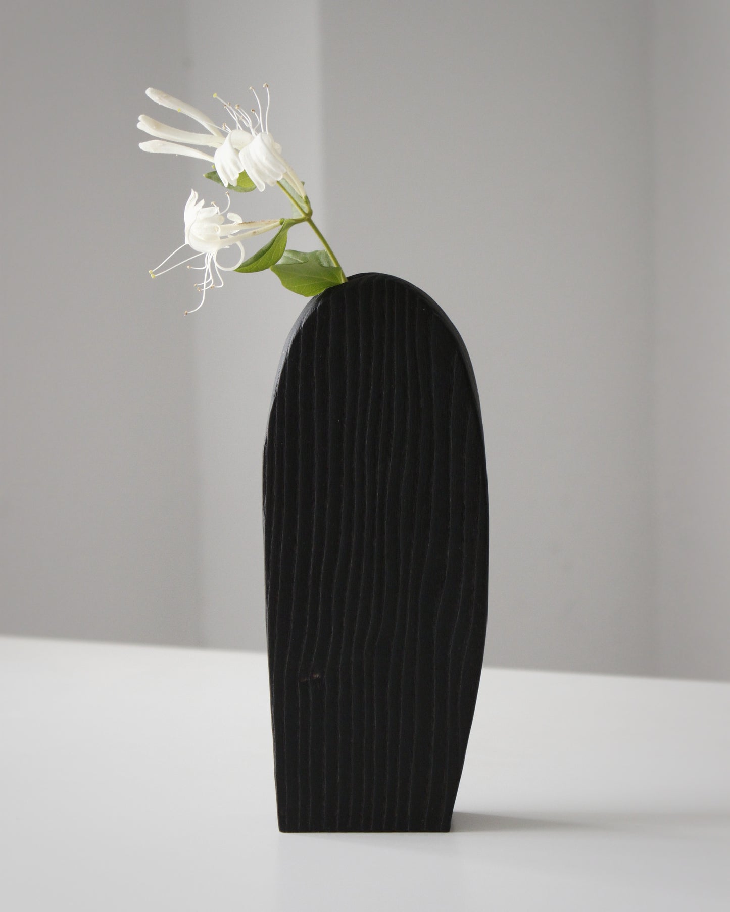 B47 Set Burnt Ash Wood Vase