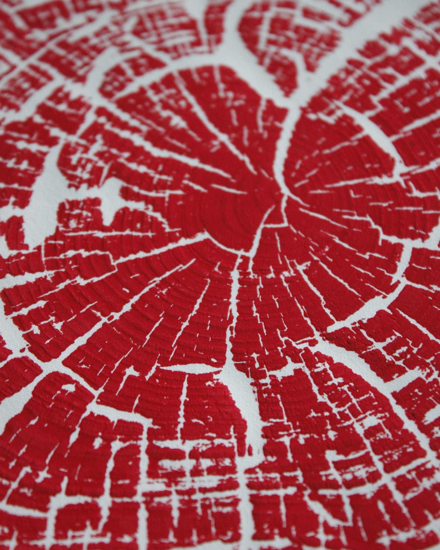 Tree Footprint #02 Sierra Pine Elvira