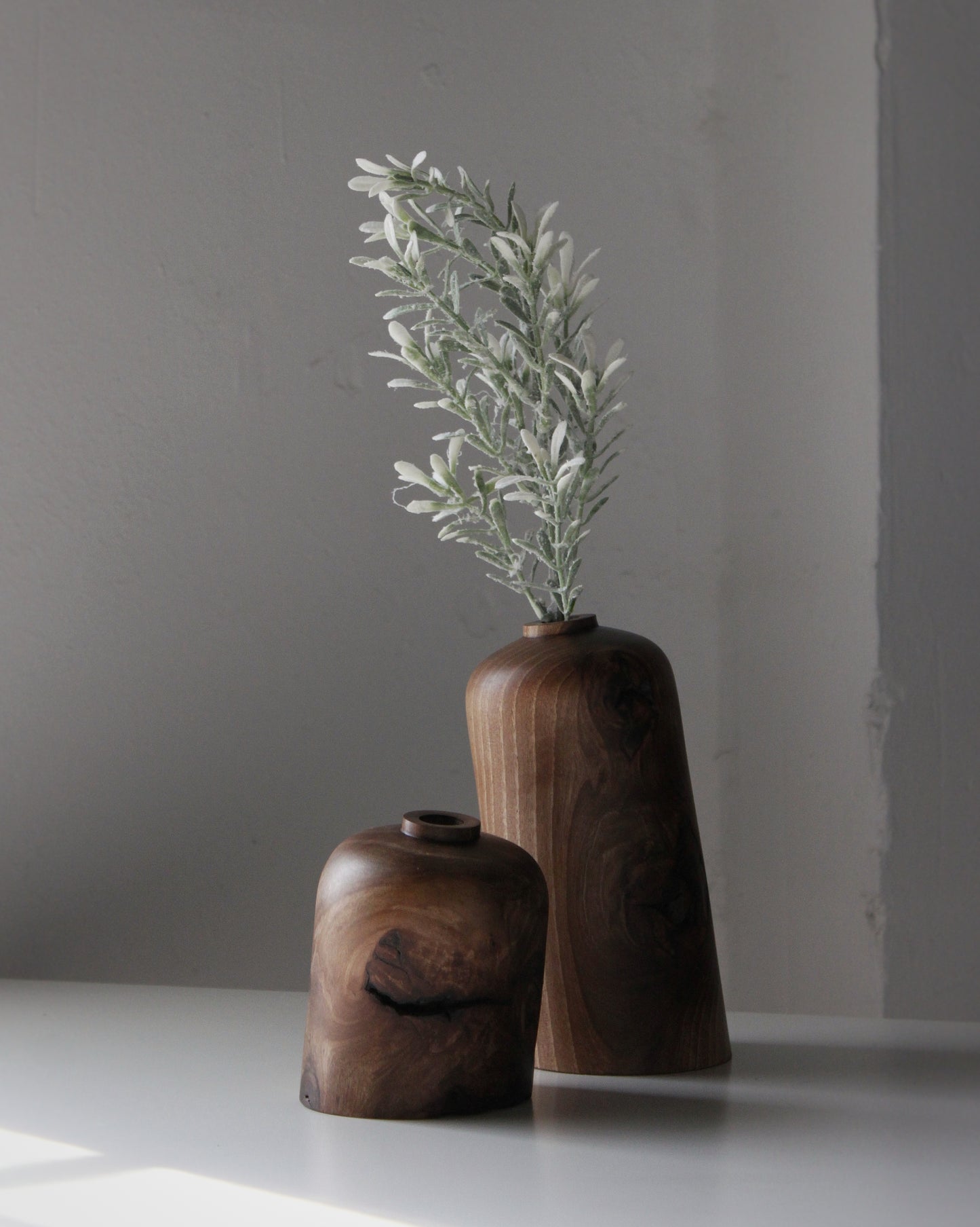 La pieza del mes ENERO 2026