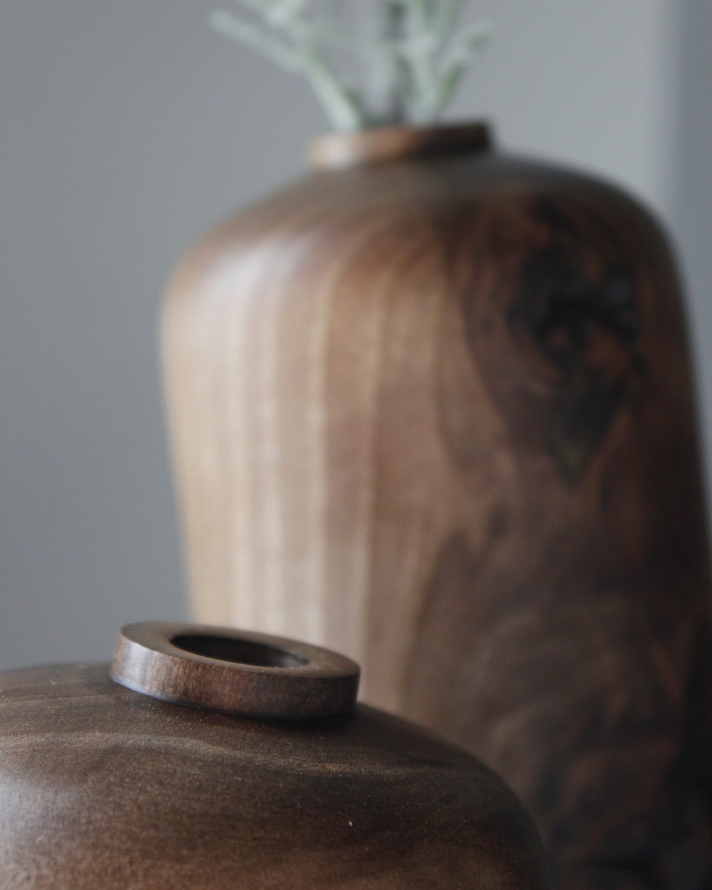 La pieza del mes ENERO 2026