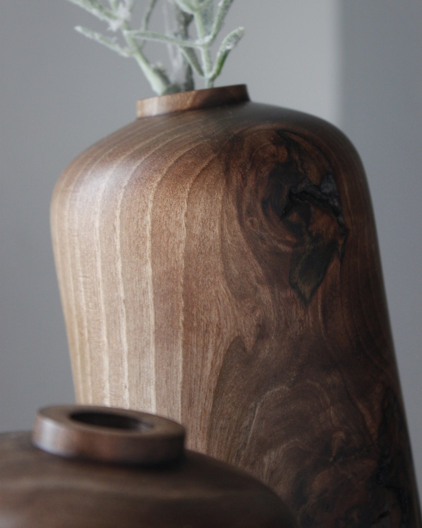 La pieza del mes ENERO 2026