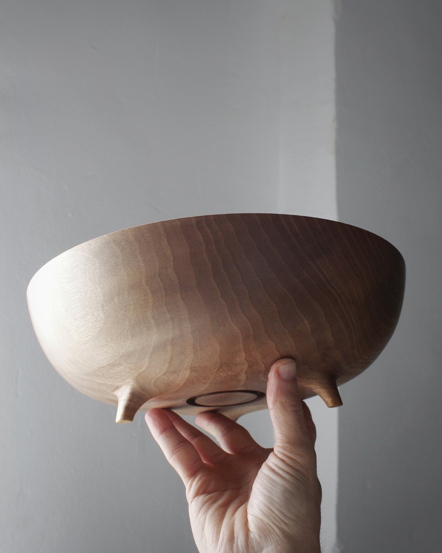 La pieza del mes FEBRERO 2026